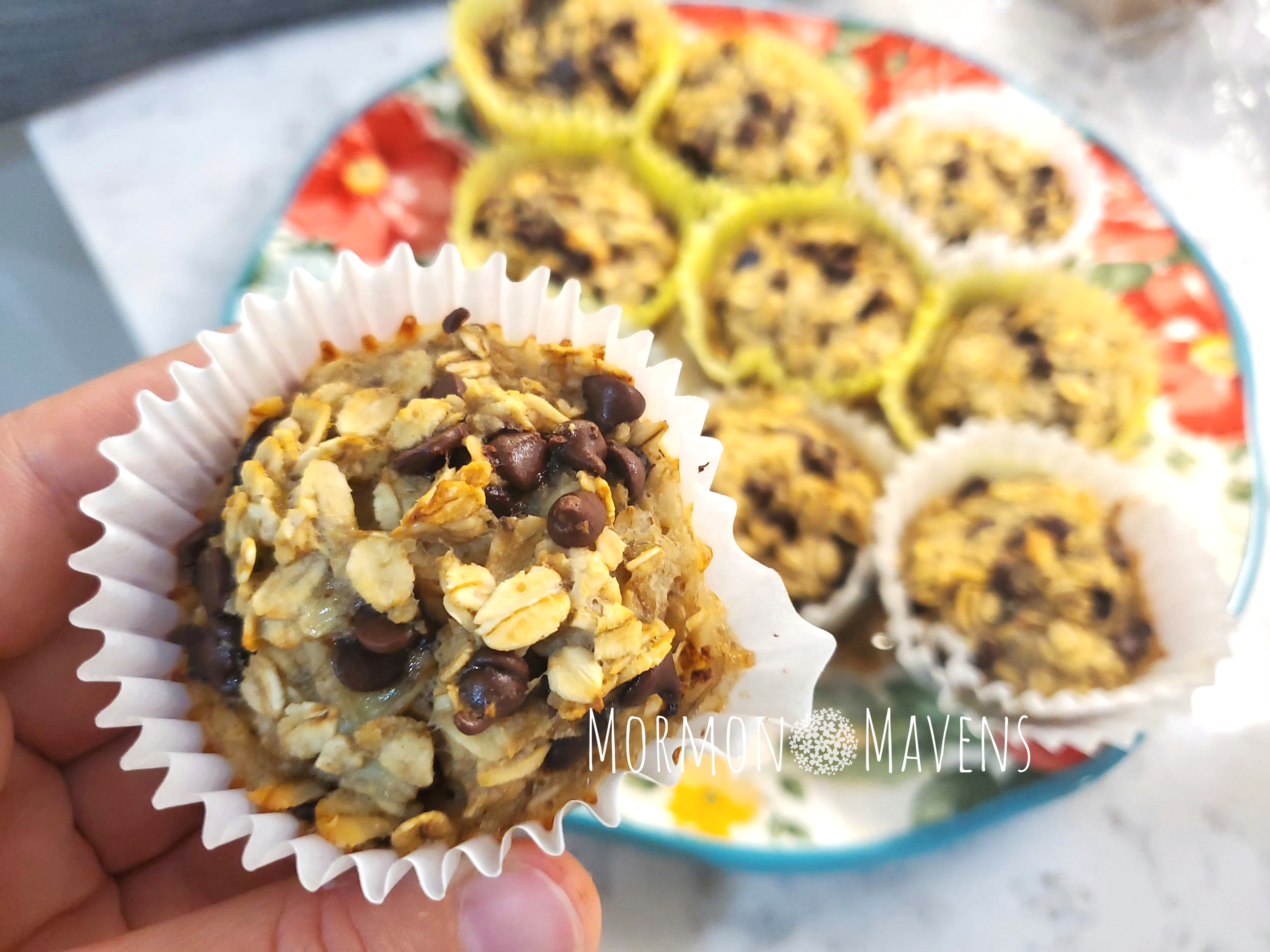 flourless banana chocolate chip oatmeal muffins