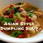 Asian Style Dumpling Soup