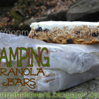 Camping Granola Bars